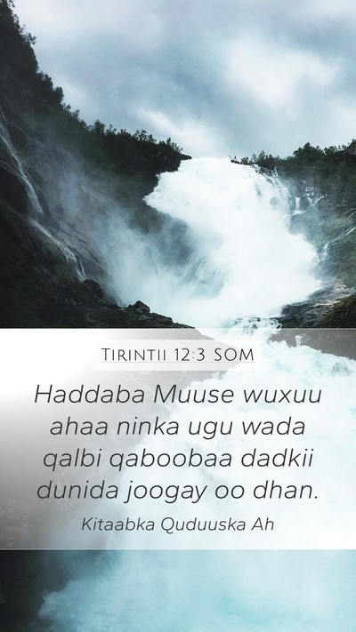 Tirintii 12:3 SOM Mobile Phone Wallpaper - Haddaba Muuse wuxuu ahaa ninka ugu wada qalbi - Mobile Bible Verse Wallpaper