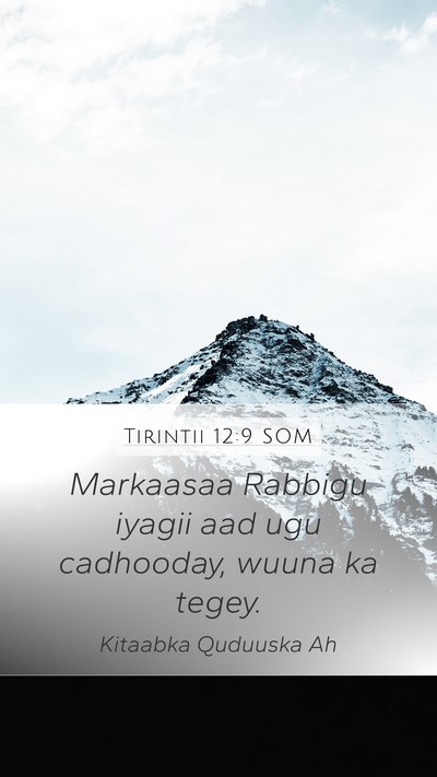 Tirintii 12:9 SOM Mobile Phone Wallpaper - Markaasaa Rabbigu iyagii aad ugu cadhooday, wuuna - Mobile Bible Verse Wallpaper