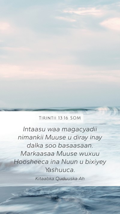 Tirintii 13:16 SOM Bible Verse Image