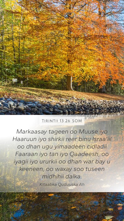 Tirintii 13:26 SOM Bible Verse Image