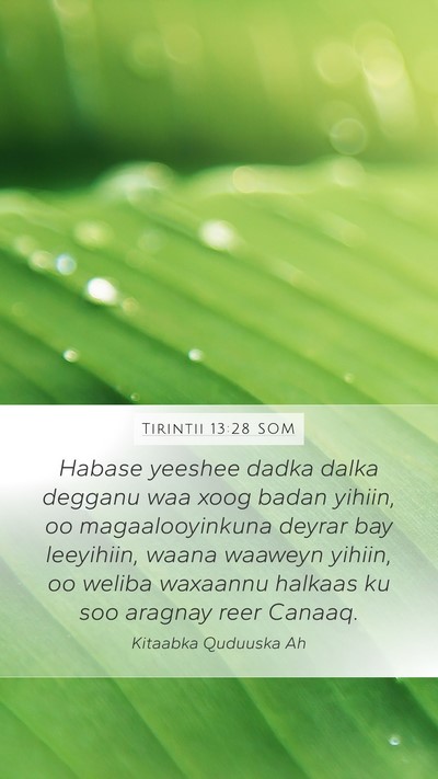 Tirintii 13:28 SOM Bible Verse Image