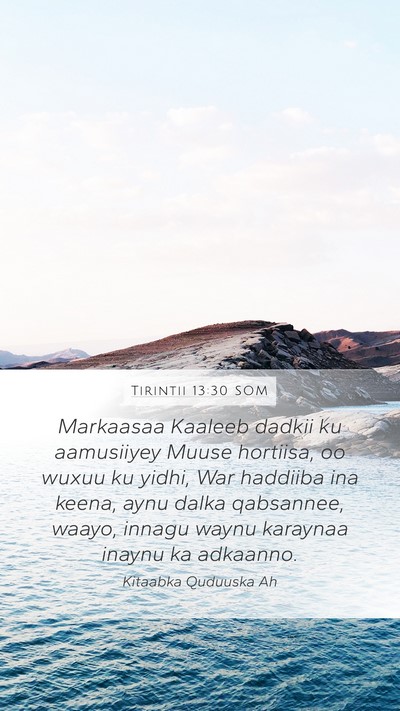 Tirintii 13:30 SOM Bible Verse Image