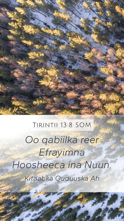 Tirintii 13:8 SOM Bible Verse Image