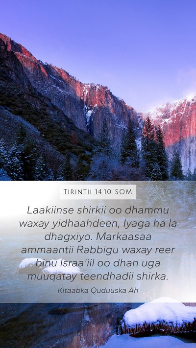 Tirintii 14:10 SOM Bible Verse Image