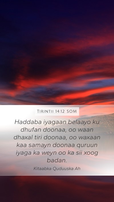 Tirintii 14:12 SOM Bible Verse Image