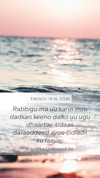 Tirintii 14:16 SOM Bible Verse Image