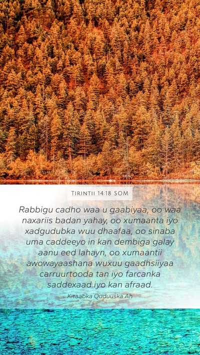 Tirintii 14:18 SOM Mobile Phone Wallpaper - Rabbigu cadho waa u gaabiyaa, oo waa naxariis - Mobile Bible Verse Wallpaper