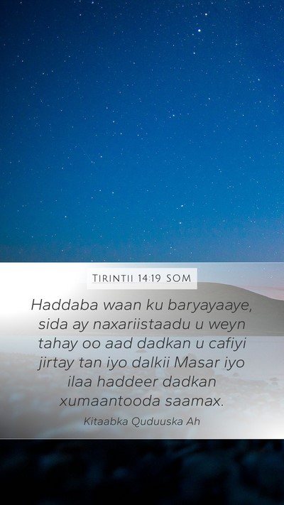 Tirintii 14:19 SOM Bible Verse Image