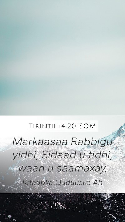 Tirintii 14:20 SOM Bible Verse Image