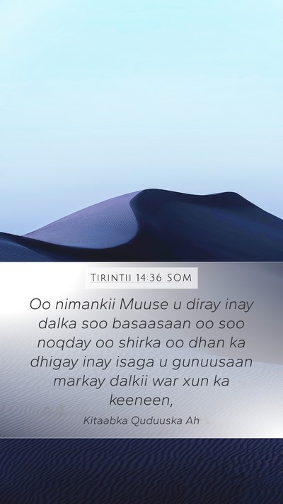 Tirintii 14:36 SOM Bible Verse Image