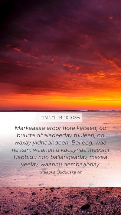 Tirintii 14:40 SOM Bible Verse Image