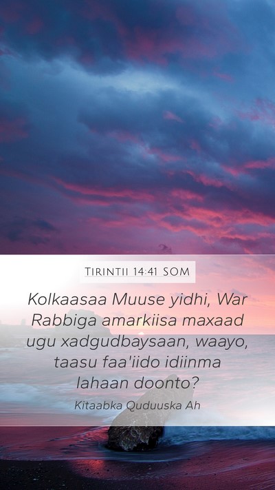 Tirintii 14:41 SOM Bible Verse Image