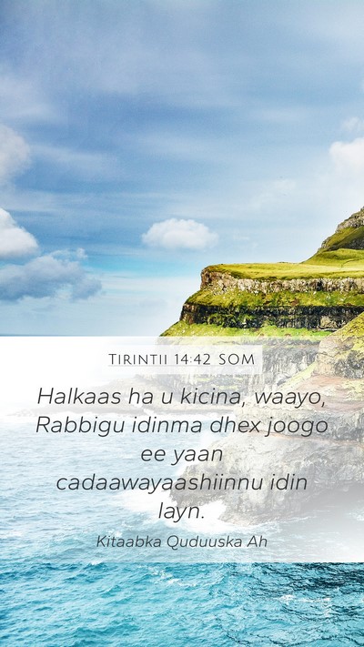 Tirintii 14:42 SOM Mobile Phone Wallpaper - Halkaas ha u kicina, waayo, Rabbigu idinma dhex - Mobile Bible Verse Wallpaper