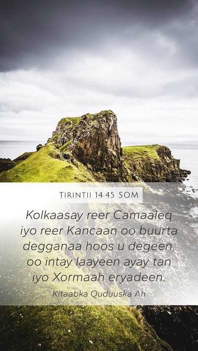 Tirintii 14:45 SOM Bible Verse Image