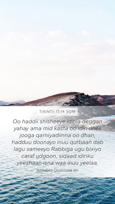 Tirintii 15:14 SOM Mobile Phone Wallpaper - Oo haddii shisheeye idinla deggan yahay ama mid - Mobile Bible Verse Wallpaper