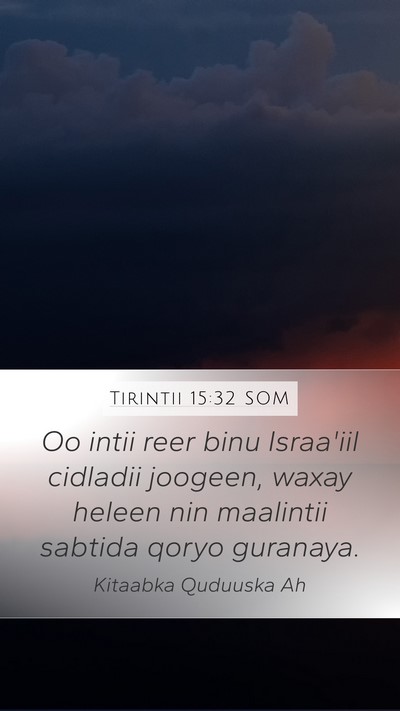 Tirintii 15:32 SOM Mobile Phone Wallpaper - Oo intii reer binu Israa'iil cidladii joogeen, - Mobile Bible Verse Wallpaper
