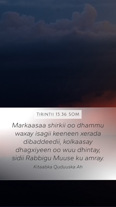 Tirintii 15:36 SOM Bible Verse Image