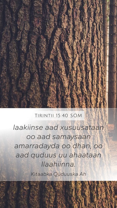 Tirintii 15:40 SOM Mobile Phone Wallpaper - laakiinse aad xusuusataan oo aad samaysaan - Mobile Bible Verse Wallpaper