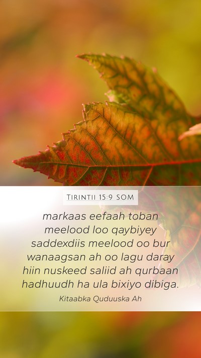 Tirintii 15:9 SOM Bible Verse Image