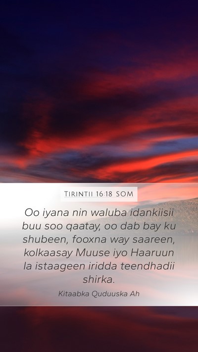 Tirintii 16:18 SOM Mobile Phone Wallpaper - Oo iyana nin waluba idankiisii buu soo qaatay, oo - Mobile Bible Verse Wallpaper