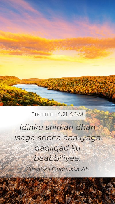 Tirintii 16:21 SOM Bible Verse Image