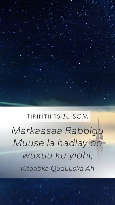 Tirintii 16:36 SOM Mobile Phone Wallpaper - Markaasaa Rabbigu Muuse la hadlay oo wuxuu ku - Mobile Bible Verse Wallpaper