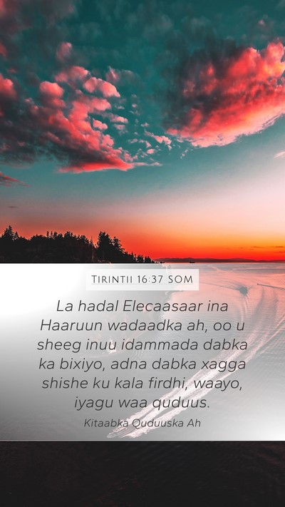 Tirintii 16:37 SOM Bible Verse Image