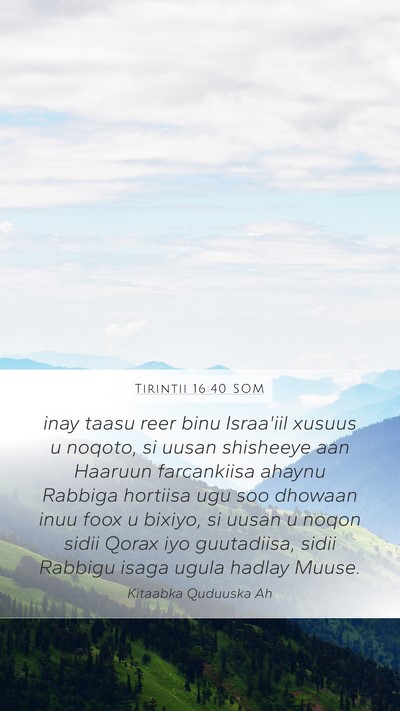 Tirintii 16:40 SOM Bible Verse Image