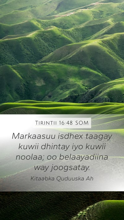 Tirintii 16:48 SOM Bible Verse Image