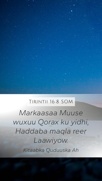 Tirintii 16:8 SOM Mobile Phone Wallpaper - Markaasaa Muuse wuxuu Qorax ku yidhi, Haddaba - Mobile Bible Verse Wallpaper