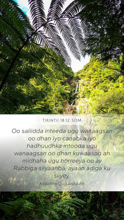 Tirintii 18:12 SOM Bible Verse Image