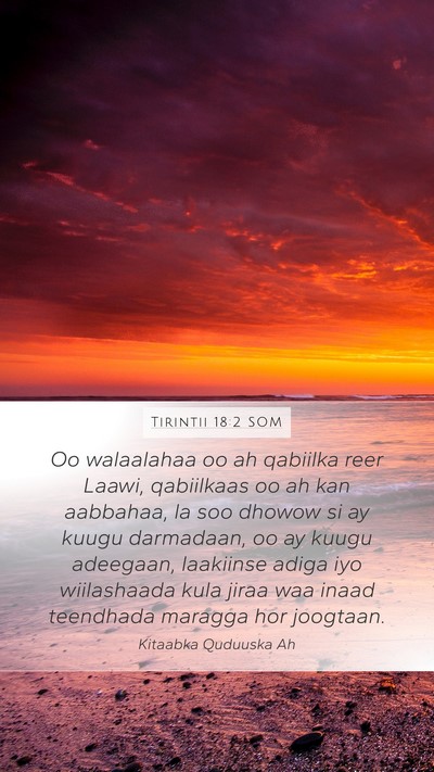 Tirintii 18:2 SOM Bible Verse Image