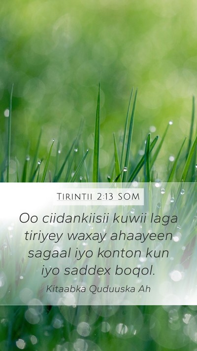 Tirintii 2:13 SOM Mobile Phone Wallpaper - Oo ciidankiisii kuwii laga tiriyey waxay ahaayeen - Mobile Bible Verse Wallpaper