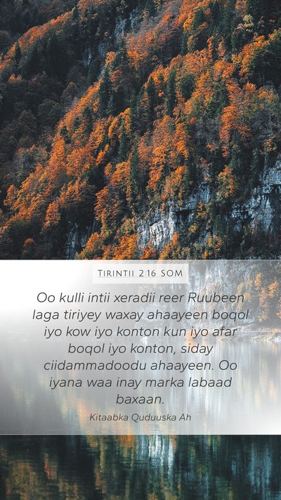Tirintii 2:16 SOM Bible Verse Image