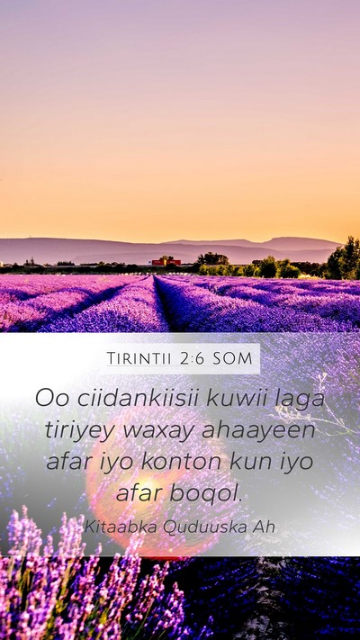 Tirintii 2:6 SOM Bible Verse Image