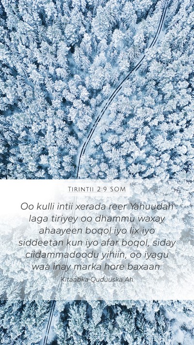 Tirintii 2:9 SOM Bible Verse Image