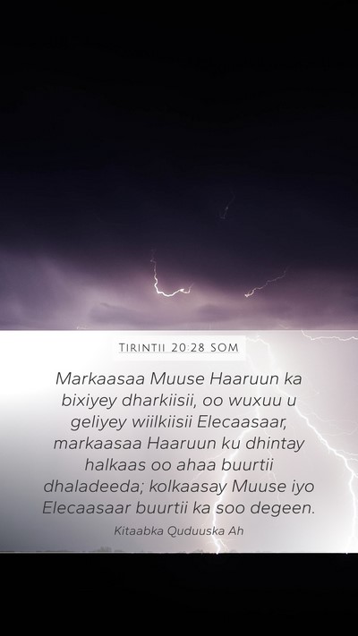 Tirintii 20:28 SOM Mobile Phone Wallpaper - Markaasaa Muuse Haaruun ka bixiyey dharkiisii, oo - Mobile Bible Verse Wallpaper