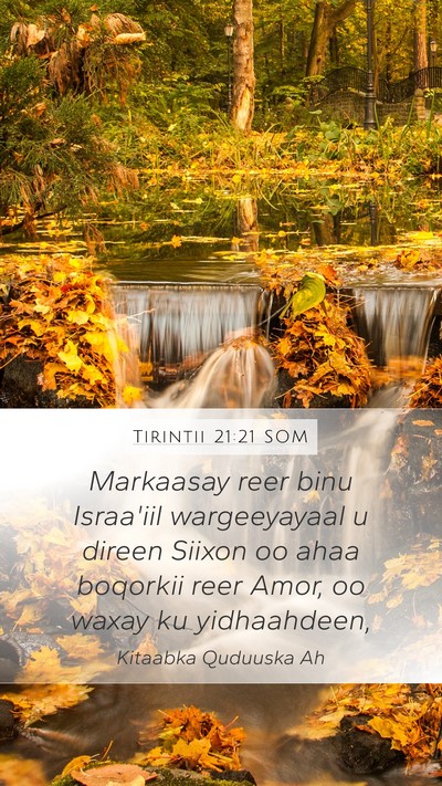 Tirintii 21:21 SOM Bible Verse Image