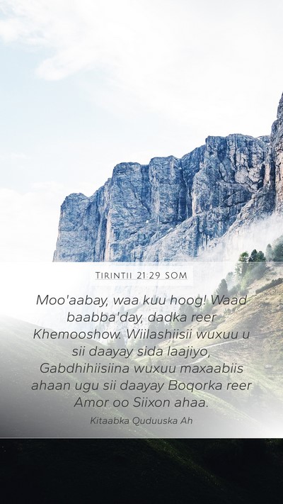 Tirintii 21:29 SOM Bible Verse Image