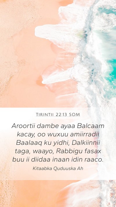 Tirintii 22:13 SOM Bible Verse Image