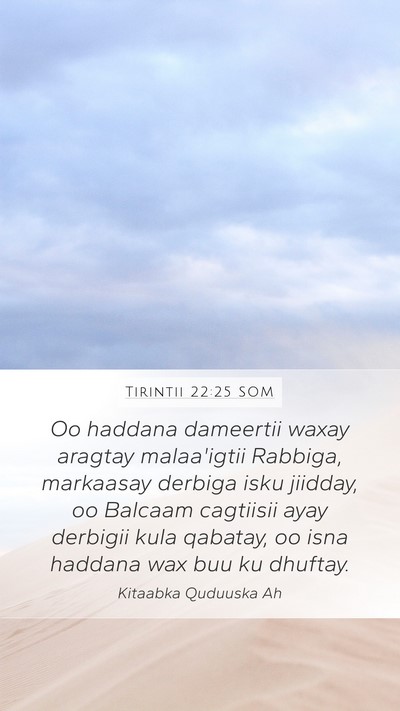 Tirintii 22:25 SOM Mobile Phone Wallpaper - Oo haddana dameertii waxay aragtay malaa'igtii - Mobile Bible Verse Wallpaper