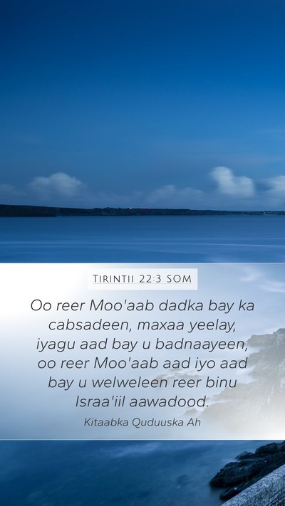 Tirintii 22:3 SOM Bible Verse Image