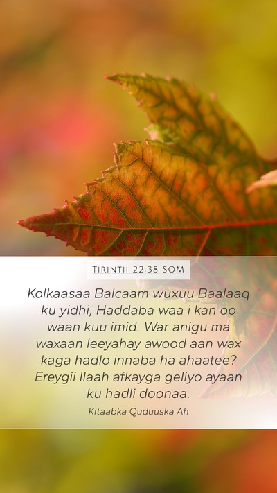 Tirintii 22:38 SOM Bible Verse Image