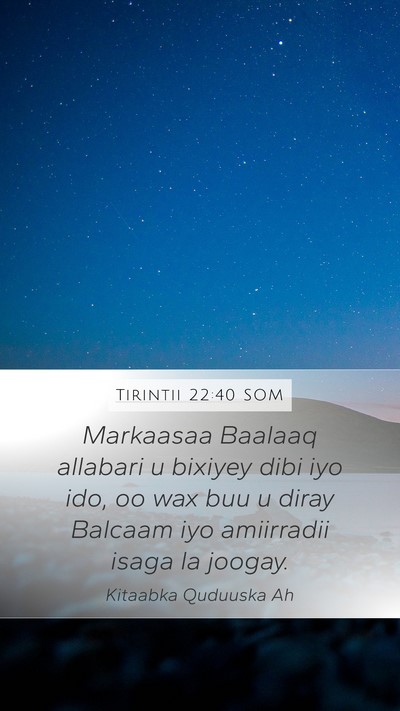 Tirintii 22:40 SOM Mobile Phone Wallpaper - Markaasaa Baalaaq allabari u bixiyey dibi iyo - Mobile Bible Verse Wallpaper