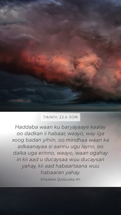 Tirintii 22:6 SOM Mobile Phone Wallpaper - Haddaba waan ku baryayaaye kaalay oo dadkan ii - Mobile Bible Verse Wallpaper