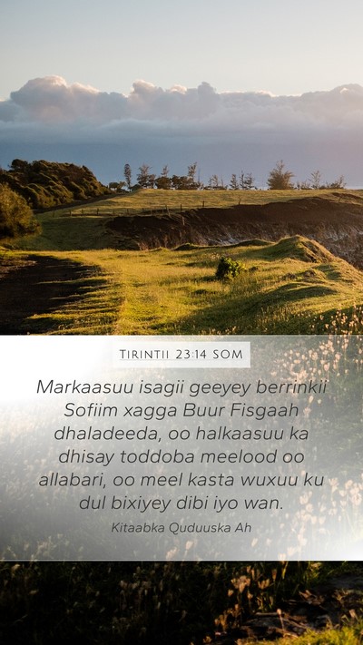 Tirintii 23:14 SOM Bible Verse Image