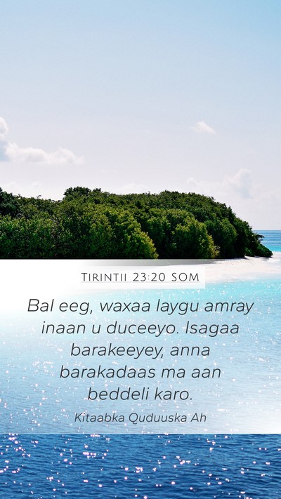 Tirintii 23:20 SOM Bible Verse Image