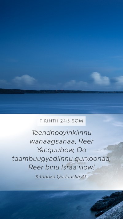 Tirintii 24:5 SOM Bible Verse Image