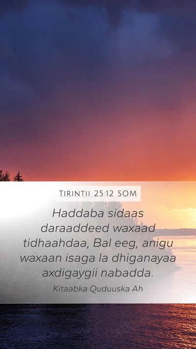 Tirintii 25:12 SOM Bible Verse Image