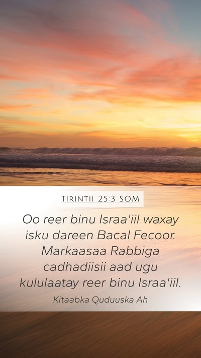 Tirintii 25:3 SOM Mobile Phone Wallpaper - Oo reer binu Israa'iil waxay isku dareen Bacal - Mobile Bible Verse Wallpaper